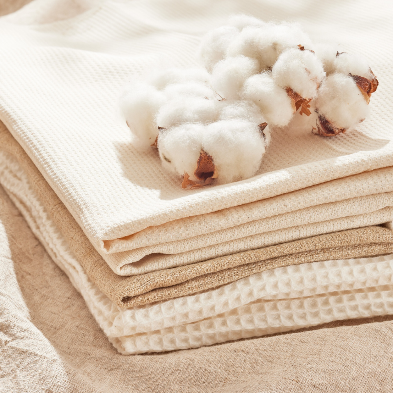 Soft cotton fabric with natural cotton bolls